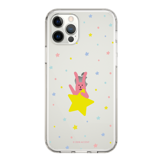 スリムプロテクションケース［ CRAFTHOLIC - Star - RAB ］