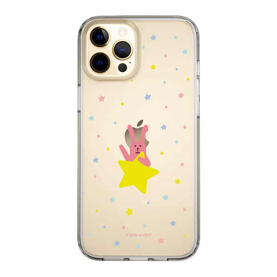 スリムプロテクションケース［ CRAFTHOLIC - Star - RAB ］