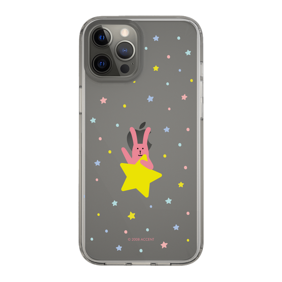 スリムプロテクションケース［ CRAFTHOLIC - Star - RAB ］