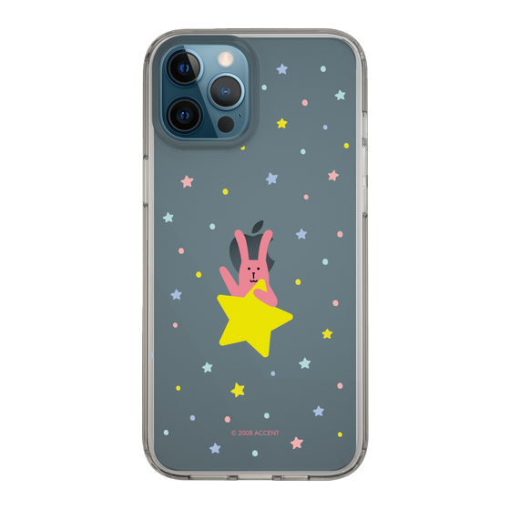 スリムプロテクションケース［ CRAFTHOLIC - Star - RAB ］