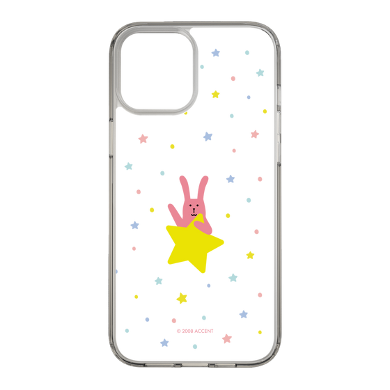 スリムプロテクションケース［ CRAFTHOLIC - Star - RAB ］