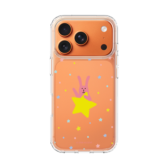 スリムプロテクションケース［ CRAFTHOLIC - Star - RAB ］