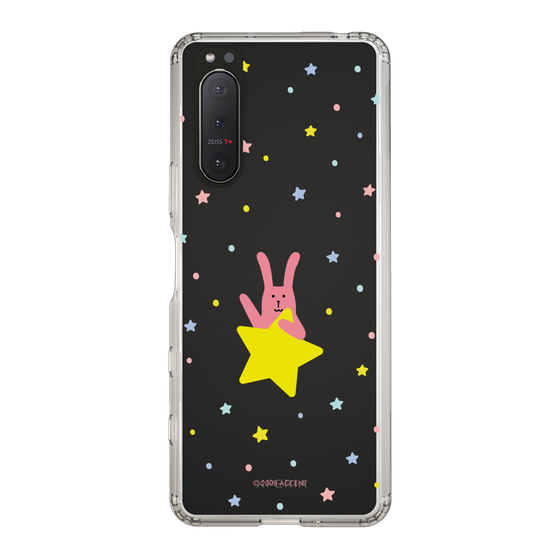 スリムプロテクションケース［ CRAFTHOLIC - Star - RAB ］