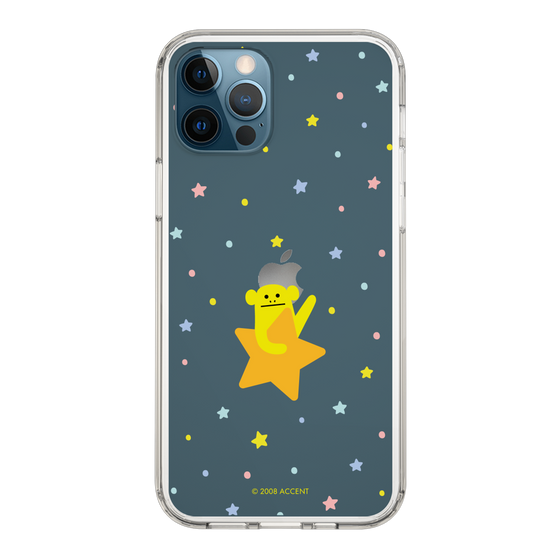 スリムプロテクションケース［ CRAFTHOLIC - Star - LORIS ］