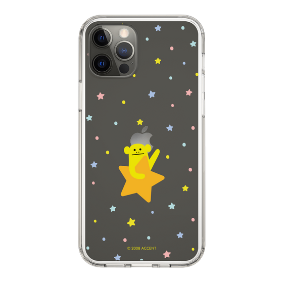 スリムプロテクションケース［ CRAFTHOLIC - Star - LORIS ］