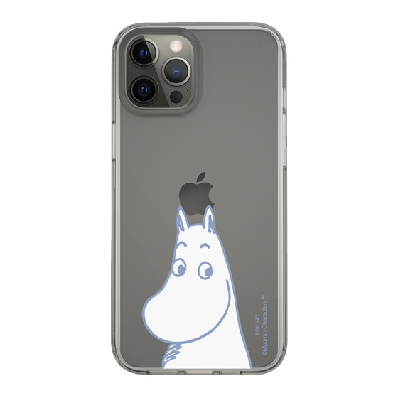 スリムプロテクションケース［ MOOMIN - Familiar face ］