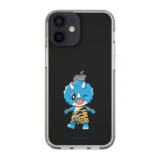 スリムプロテクションケース［ トライフープ岡山 - トライプ ］