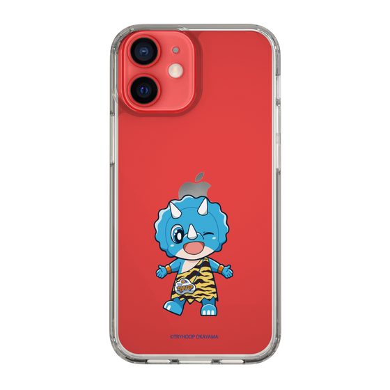 スリムプロテクションケース［ トライフープ岡山 - トライプ ］