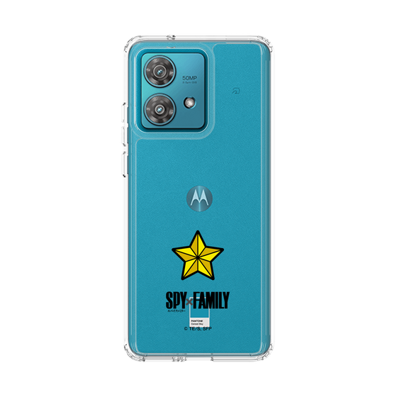 スリムプロテクションケース［ SPY×FAMILY - アイコン - ステラ ］