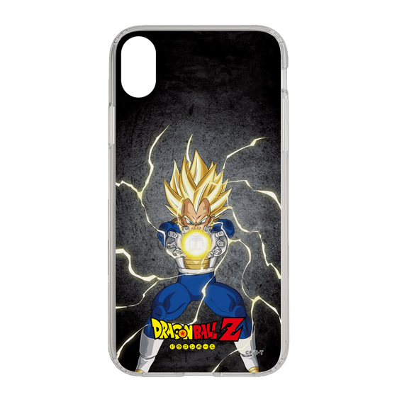 スリムプロテクションケース［ ドラゴンボールZ - コンプリートボックス限定 - ベジータ ］