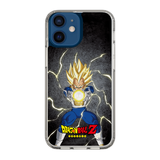 スリムプロテクションケース［ ドラゴンボールZ - コンプリートボックス限定 - ベジータ ］