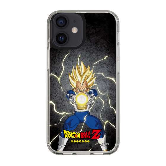 スリムプロテクションケース［ ドラゴンボールZ - コンプリートボックス限定 - ベジータ ］
