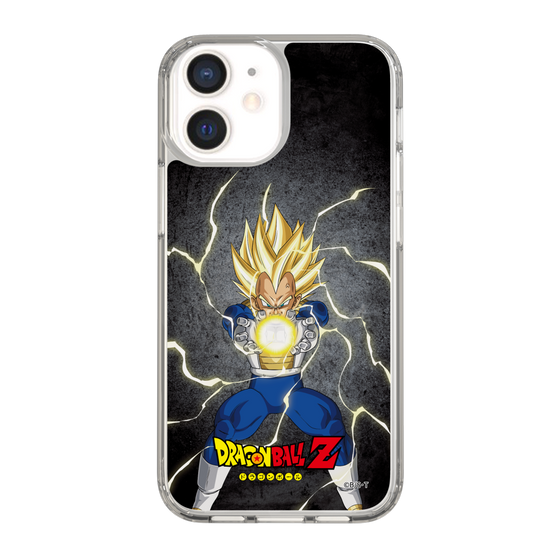 スリムプロテクションケース［ ドラゴンボールZ - コンプリートボックス限定 - ベジータ ］