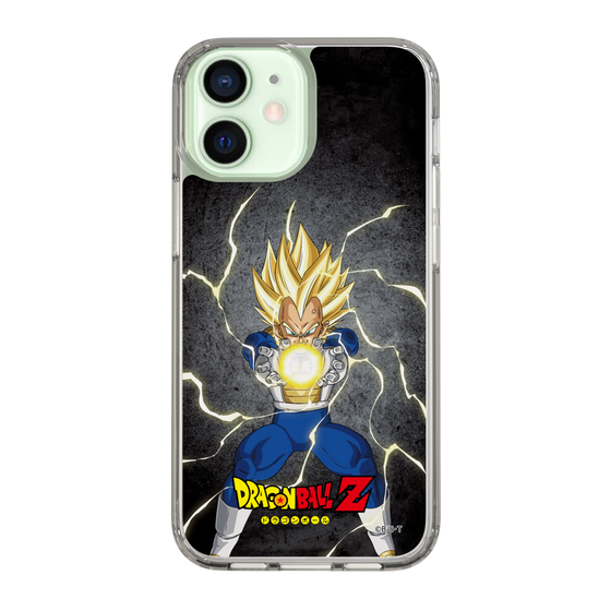 スリムプロテクションケース［ ドラゴンボールZ - コンプリートボックス限定 - ベジータ ］