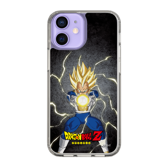 スリムプロテクションケース［ ドラゴンボールZ - コンプリートボックス限定 - ベジータ ］