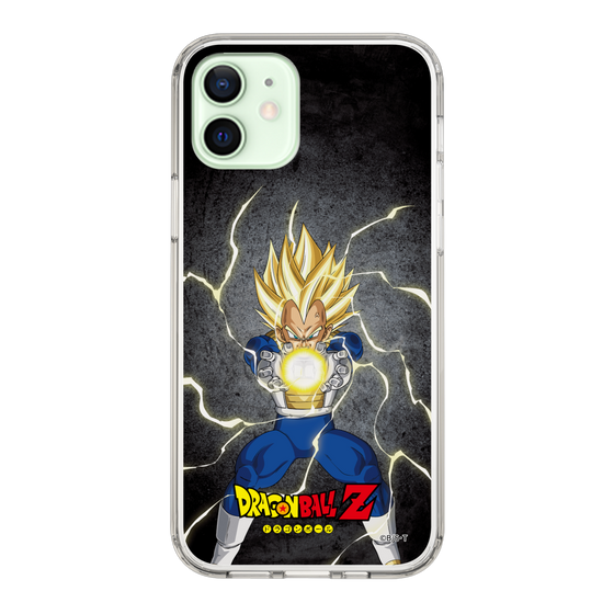 スリムプロテクションケース［ ドラゴンボールZ - コンプリートボックス限定 - ベジータ ］