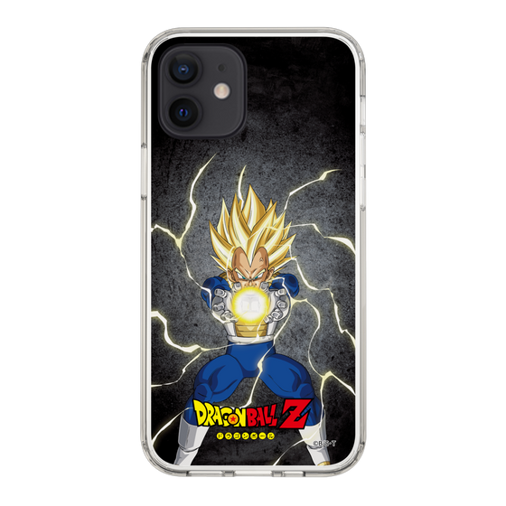 スリムプロテクションケース［ ドラゴンボールZ - コンプリートボックス限定 - ベジータ ］