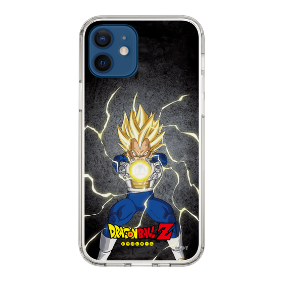 スリムプロテクションケース［ ドラゴンボールZ - コンプリートボックス限定 - ベジータ ］