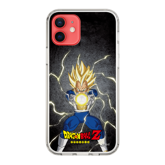 スリムプロテクションケース［ ドラゴンボールZ - コンプリートボックス限定 - ベジータ ］