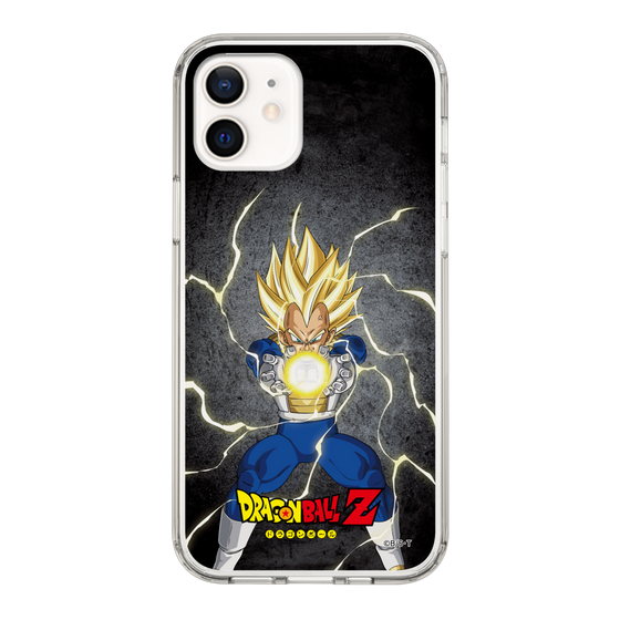 スリムプロテクションケース［ ドラゴンボールZ - コンプリートボックス限定 - ベジータ ］