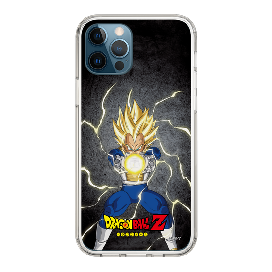 スリムプロテクションケース［ ドラゴンボールZ - コンプリートボックス限定 - ベジータ ］