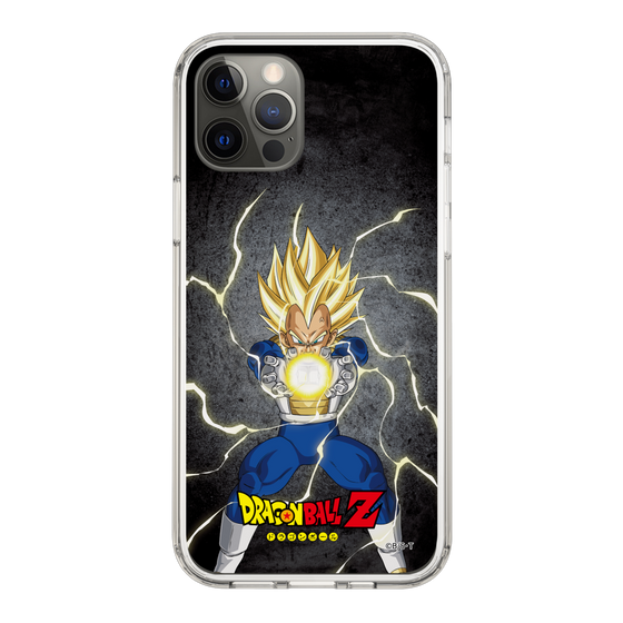 スリムプロテクションケース［ ドラゴンボールZ - コンプリートボックス限定 - ベジータ ］