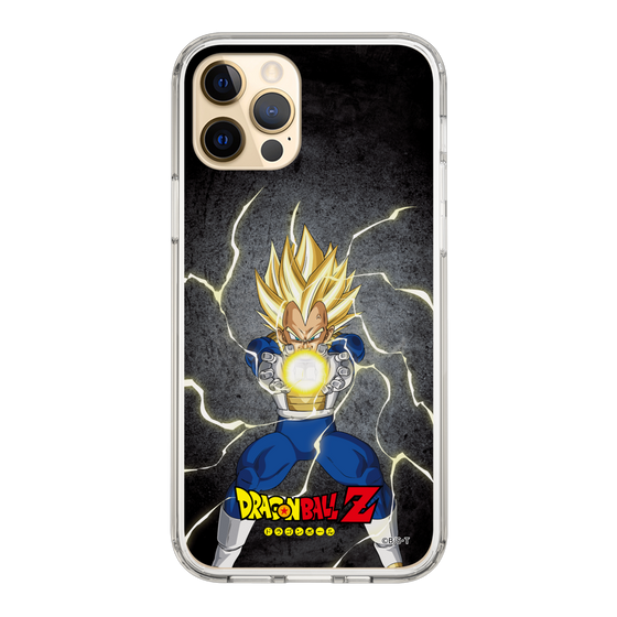 スリムプロテクションケース［ ドラゴンボールZ - コンプリートボックス限定 - ベジータ ］