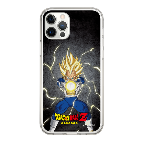 スリムプロテクションケース［ ドラゴンボールZ - コンプリートボックス限定 - ベジータ ］