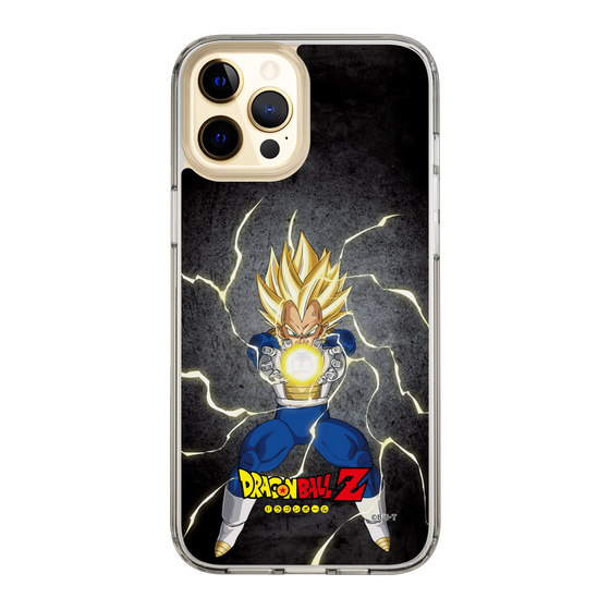 スリムプロテクションケース［ ドラゴンボールZ - コンプリートボックス限定 - ベジータ ］