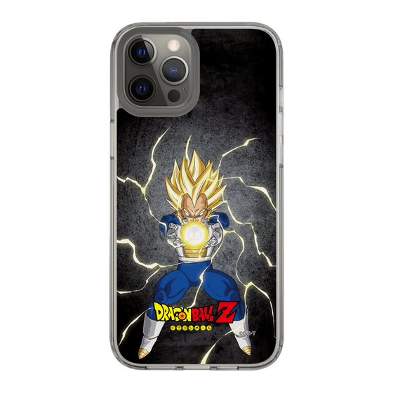 スリムプロテクションケース［ ドラゴンボールZ - コンプリートボックス限定 - ベジータ ］