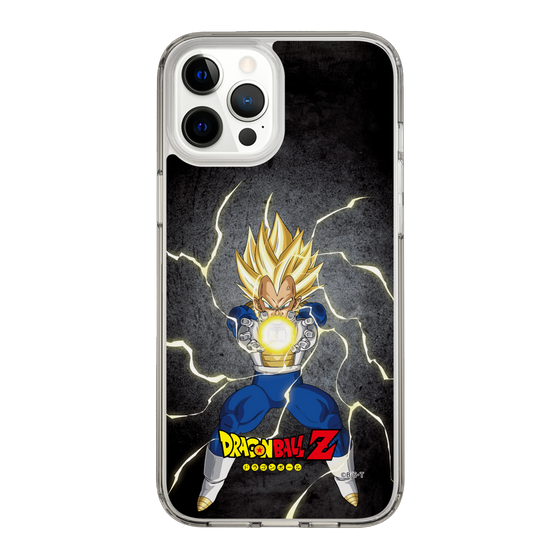スリムプロテクションケース［ ドラゴンボールZ - コンプリートボックス限定 - ベジータ ］