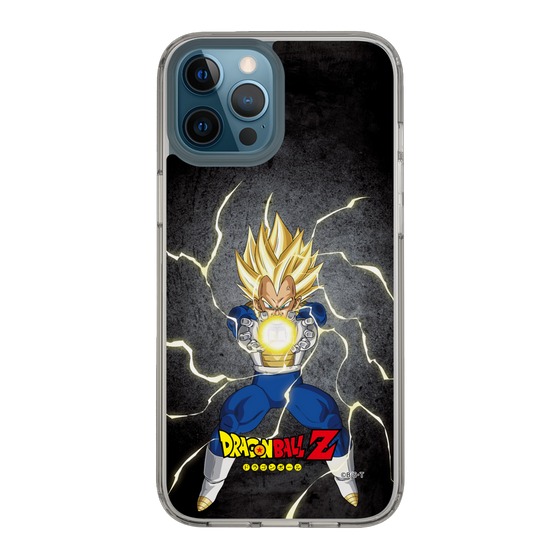 スリムプロテクションケース［ ドラゴンボールZ - コンプリートボックス限定 - ベジータ ］