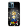 スリムプロテクションケース［ ドラゴンボールZ - コンプリートボックス限定 - ベジータ ］