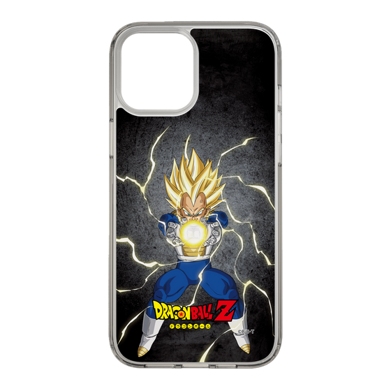 スリムプロテクションケース［ ドラゴンボールZ - コンプリートボックス限定 - ベジータ ］