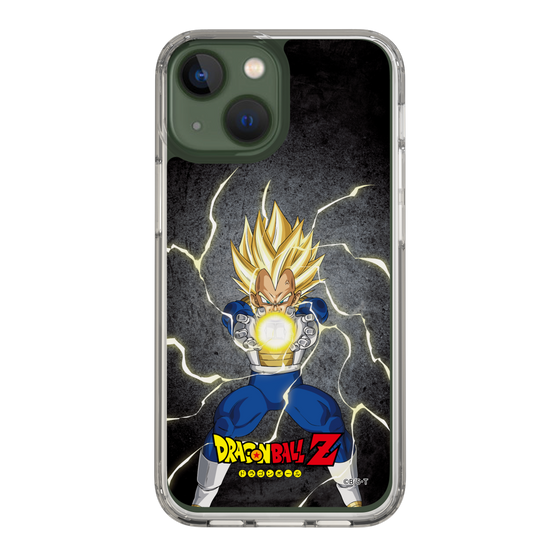 スリムプロテクションケース［ ドラゴンボールZ - コンプリートボックス限定 - ベジータ ］