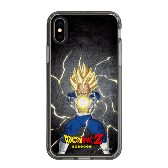 スリムプロテクションケース［ ドラゴンボールZ - コンプリートボックス限定 - ベジータ ］