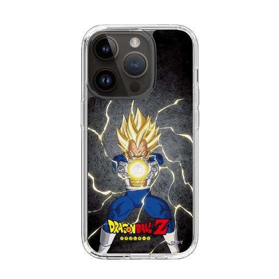 スリムプロテクションケース［ ドラゴンボールZ - コンプリートボックス限定 - ベジータ ］