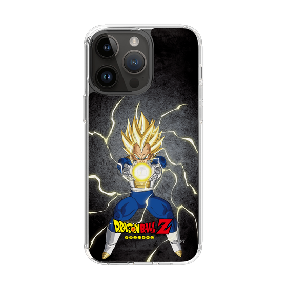 スリムプロテクションケース［ ドラゴンボールZ - コンプリートボックス限定 - ベジータ ］