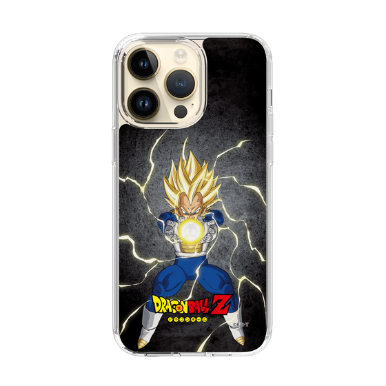 スリムプロテクションケース［ ドラゴンボールZ - コンプリートボックス限定 - ベジータ ］