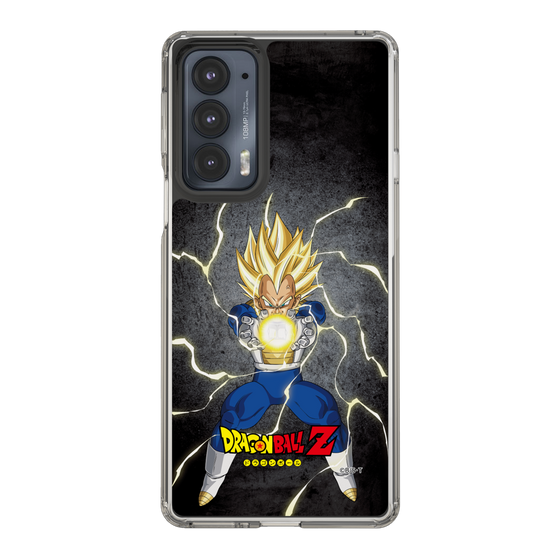 スリムプロテクションケース［ ドラゴンボールZ - コンプリートボックス限定 - ベジータ ］
