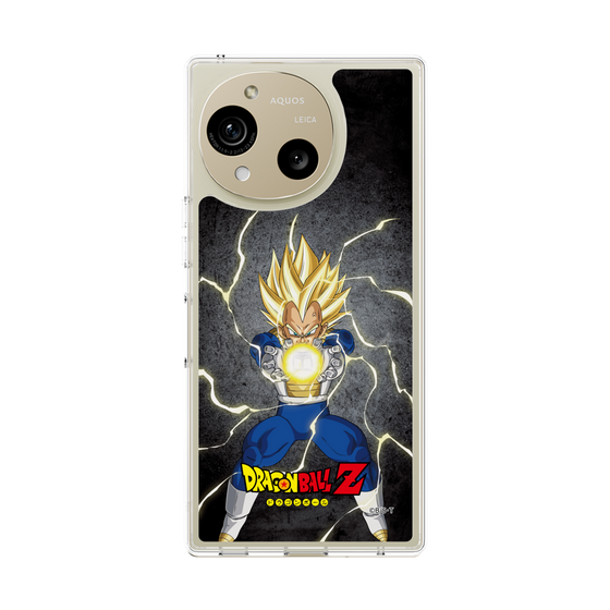 スリムプロテクションケース［ ドラゴンボールZ - コンプリートボックス限定 - ベジータ ］