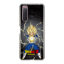 スリムプロテクションケース［ ドラゴンボールZ - コンプリートボックス限定 - ベジータ ］
