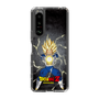 スリムプロテクションケース［ ドラゴンボールZ - コンプリートボックス限定 - ベジータ ］