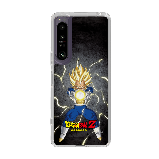 スリムプロテクションケース［ ドラゴンボールZ - コンプリートボックス限定 - ベジータ ］