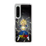 スリムプロテクションケース［ ドラゴンボールZ - コンプリートボックス限定 - ベジータ ］