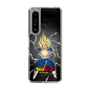 スリムプロテクションケース［ ドラゴンボールZ - コンプリートボックス限定 - ベジータ ］