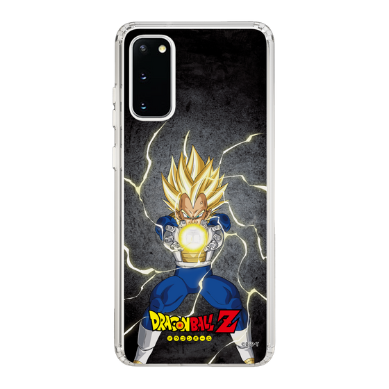 スリムプロテクションケース［ ドラゴンボールZ - コンプリートボックス限定 - ベジータ ］