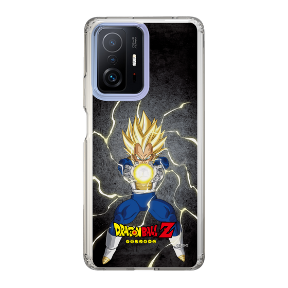 スリムプロテクションケース［ ドラゴンボールZ - コンプリートボックス限定 - ベジータ ］