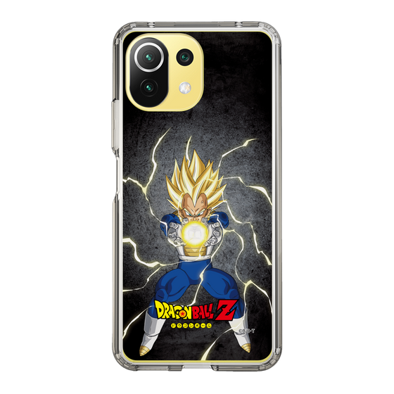 スリムプロテクションケース［ ドラゴンボールZ - コンプリートボックス限定 - ベジータ ］