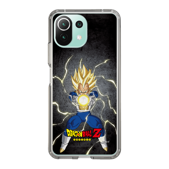 スリムプロテクションケース［ ドラゴンボールZ - コンプリートボックス限定 - ベジータ ］